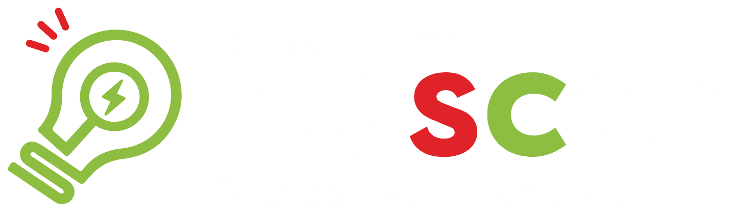 Programa Nascer